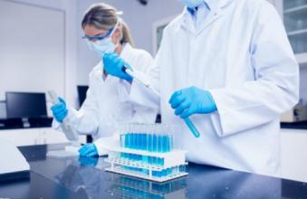 USC研究人员已经在实验室中成功培养了人类产生睾丸激素的细胞