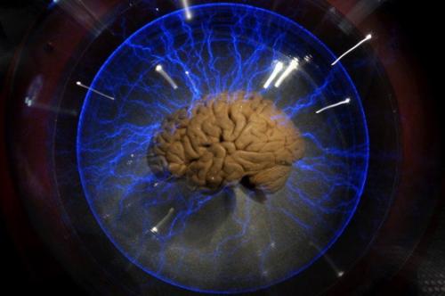 中国科学家瞄准世界上最详尽的人脑3D地图