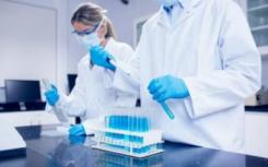 USC研究人员已经在实验室中成功培养了人类产生睾丸激素的细胞