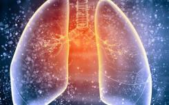 研究发现肺纤维化的关键调节因子