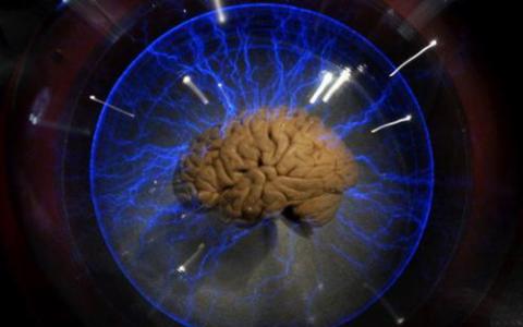 中国科学家瞄准世界上最详尽的人脑3D地图