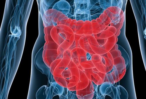 乳糜泻肠道症状背后的异常表观遗传调控