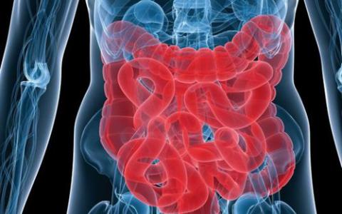 乳糜泻肠道症状背后的异常表观遗传调控