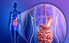 胃肠道疾病涉及脑到肠和肠到脑的途径