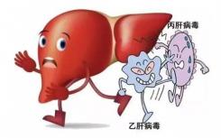 在动物研究中 新药物显示出抗肝纤维化的希望