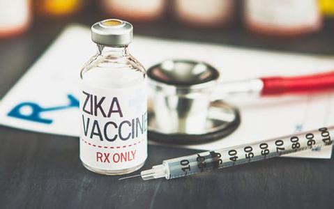 加拿大将对人类进行首次寨卡疫苗测试