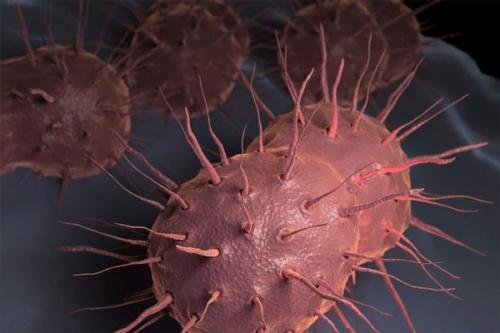 研究人员确定细菌感染可能是导致膀胱疾病的原因