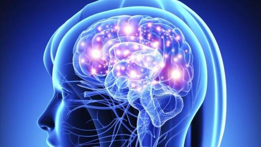 科学家们确定了神经系统中引起病情的受体开发有效的治疗方法