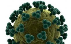 研究人员在结核病 艾滋病毒合并感染中发现了其他免疫层