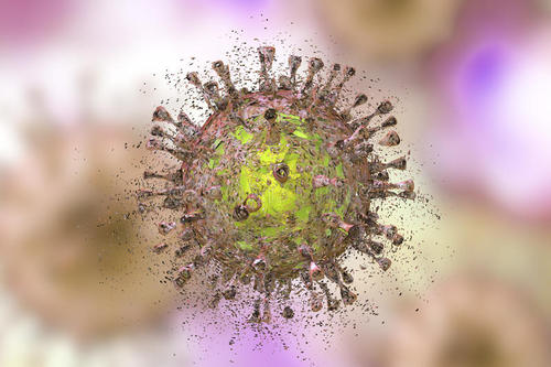 教老药对抗巨细胞病毒的新技巧