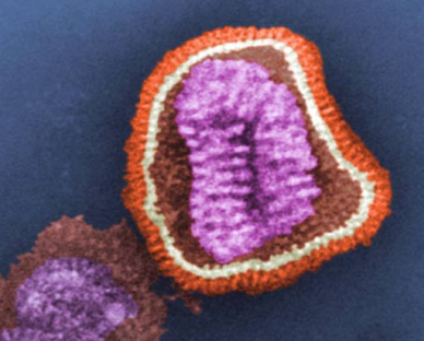科学家们确定了罕见的阻止流感的突变
