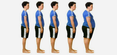 科学家们鉴定出高脂饮食诱导的肥胖症的新生物标志物