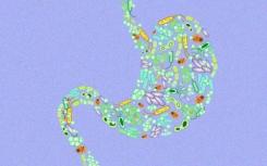 揭示肠道微生物与脑细胞之间沟通的分子过程
