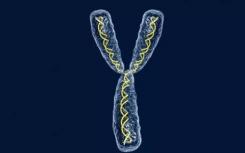 基因科学家完成了穴居人Y染色体的首次分析