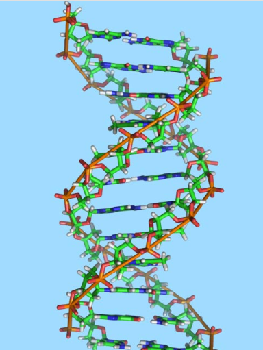 研究人员发现隐藏在DNA中的第二个密码