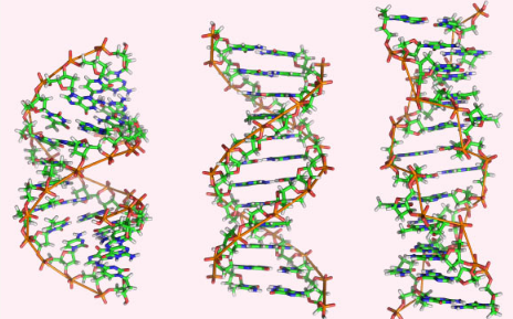 新方法可确定您的DNA来自母亲还是父亲