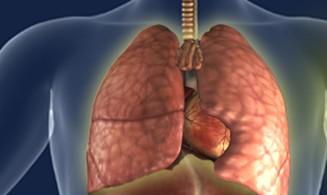新指南可以减少医院获得的呼吸机相关性肺炎的抗生素