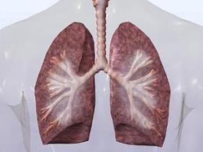 研究显示医生和COPD患者未充分利用肺部康复