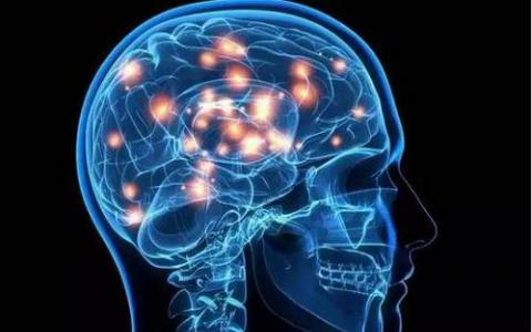 研究人员阐明了从病毒到脑部疾病的途径