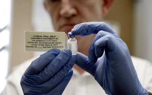 研究检查了候选埃博拉疫苗的安全性和免疫反应