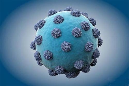 丙型肝炎病毒使用Netrin-1劫持宿主细胞