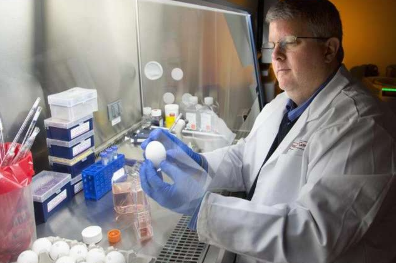 赛诺菲巴斯德开发了针对H1N1流感的新型疫苗