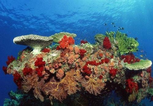 微生物在热带空气中显示出精确的每日节律