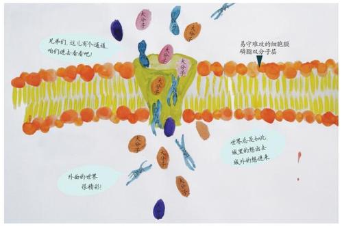 毒素形成的纳米孔或纳米孔可用于感知生物分子