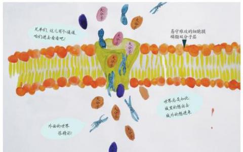 毒素形成的纳米孔或纳米孔可用于感知生物分子