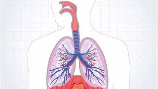 肺康复可以改善肺部疾病患者的健康