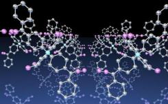 埃博拉病毒编码的microRNA样片段可作为早期诊断的生物标志物