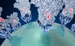 电子显微镜捕获冠状病毒用于进入细胞的结构快照