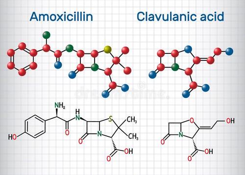 对酸敏感的分子变化有助于大流行性流感的出现