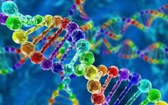 研究人员说 相同的双肾移植需要进行基因测序