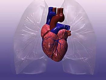 接触氟喹诺酮类抗生素与左侧心脏瓣膜反流的风险增加有关