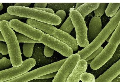 研究发现 铜制医院病床可以杀死细菌 挽救生命