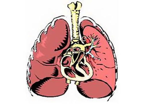 研究指向治疗特发性肺纤维化或IPF的可能目标