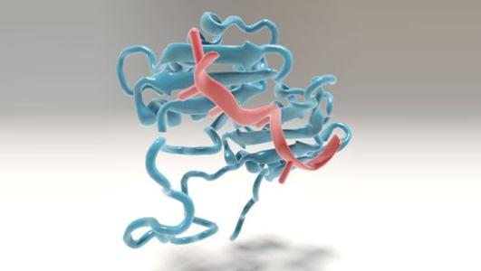 Avacta已成功生成大量与LG Chem提名的第一个药物靶标结合的Affimer蛋白