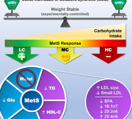 低碳水化合物饮食使代谢综合征患者受益 而与减肥无关