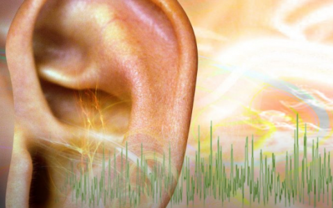 疟疾药物可能有助于预防遗传性听力损失