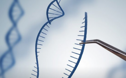 CRISPR疗法 顶点报告了基因编辑治疗CTX001试验的第一批数据