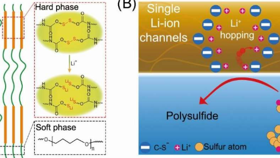 单一锂离子通道聚合物粘合剂稳定硫阴极
