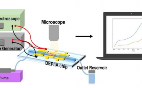 研究人员开发了 芯片实验室 用于个性化药物功效监测