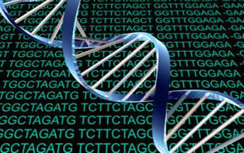 CADD 一种用于对整个基因组序列中的疾病原因突变进行排序的新方法