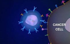 CAR T细胞疗法获准用于治疗某些B细胞急性淋巴细胞白血病的儿童和青少年