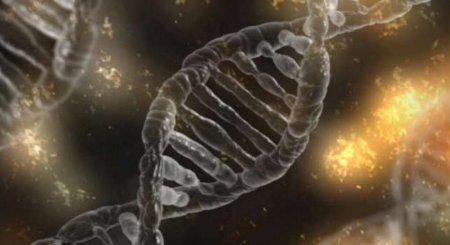 科学家建造了哈勃太空望远镜来研究多个基因组序列