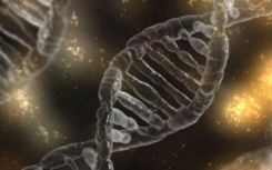 科学家建造了哈勃太空望远镜来研究多个基因组序列