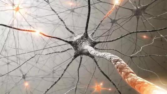 研究人员确定了治疗神经系统疾病的新药物靶标