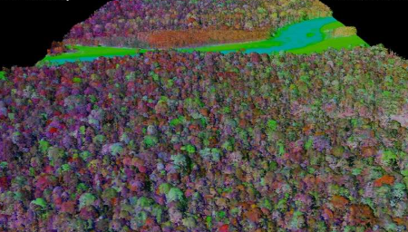 科学家使用空气中的植物化学图谱来改善高多样性热带森林中的碳循环模型
