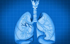 利用肺部细胞蓝图 研究人员期待器官再生